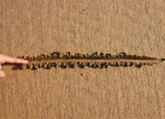 Le Créateur – Limites Saines