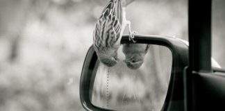 Le Créateur – Vous Êtes Parfait