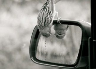 Le Créateur – Vous Êtes Parfait