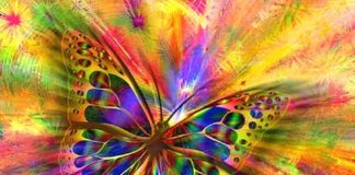 Chacun est libre d’évoluer ou pas…