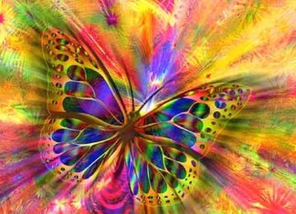 Chacun est libre d’évoluer ou pas…