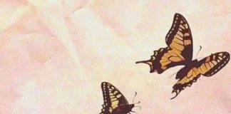 Le Créateur – Il Est Temps…