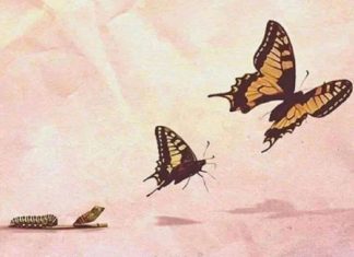 Le Créateur – Il Est Temps…