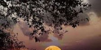 Le Créateur – Renouveler !