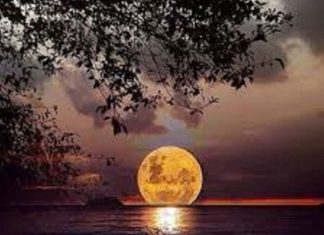 Le Créateur – Renouveler !