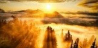 « Lâcher Prise et Laisser Dieu Agir »