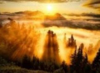 « Lâcher Prise et Laisser Dieu Agir »