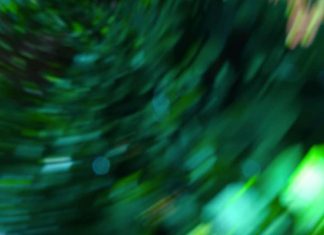 Le vortex de votre crâne