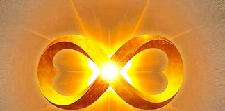 L’Amour Vibration – 1ière partie