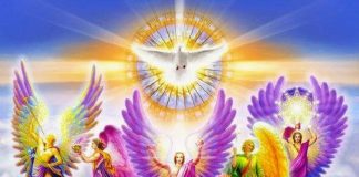 Nous sommes les Anges Arc-en-ciel. Nous nous réjouissons de vous rencontrer