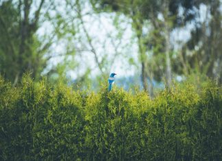 À l’écoute de la solution à vos problèmes