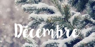 Lumières de Décembre 2019 !