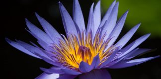 La Paix n’exige aucun changement