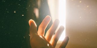 Maintenant vous voyez