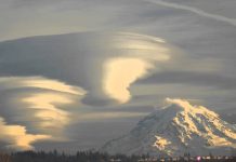 Sheldan Nidle : La Flotte de Vaisseaux de la Fédération Galactique de Lumière et son déploiement – 7/8