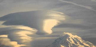 Sheldan Nidle : La Flotte de Vaisseaux de la Fédération Galactique de Lumière et son déploiement – 7/8