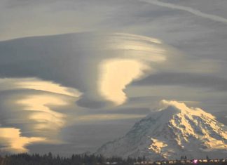 Sheldan Nidle : La Flotte de Vaisseaux de la Fédération Galactique de Lumière et son déploiement – 7/8