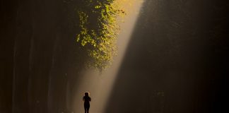 Message aux Porteurs de Lumière – 31 Décembre 2021