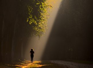 LA PRÉSENCE DU VAISSEAU-LUMIÈRE VOUS ACTIVE MAINTENANT