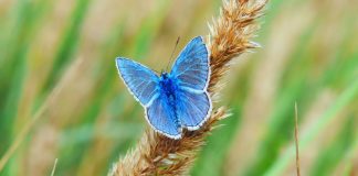 Votre fondation est inébranlable