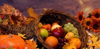 Vivre la vie à « Thanksgiving »