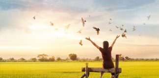 Libre Arbitre, Limites et Émotions