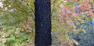 Il n’y a rien de tel que l’échec