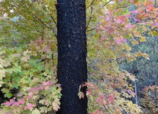 Il n’y a rien de tel que l’échec