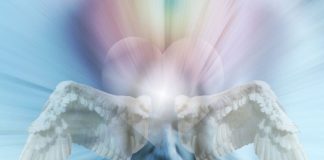 Vous Êtes les Gardiens de la Terre