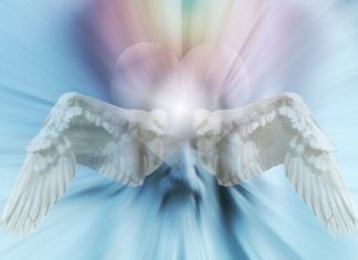 Vous Êtes les Gardiens de la Terre