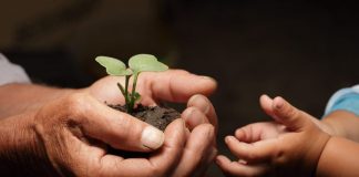 Le Créateur – Essentiel