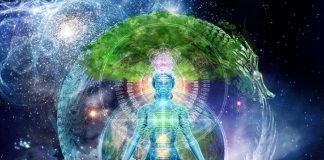 Gaia est déjà dans la Cinquième Dimension