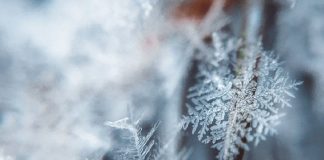 Conseil des Médecins du Ciel pour la saison hivernale