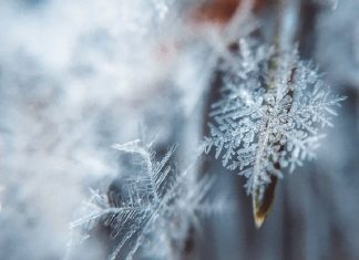 Conseil des Médecins du Ciel pour la saison hivernale