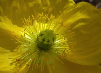 Le seul vrai contrôle