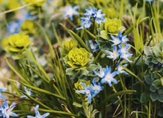 Choisir l’autorité plutôt que la tyrannie