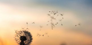 Le Créateur – La Fin ?