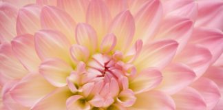 Pratique 46 – Je suis prêt à ce qu’on me montre