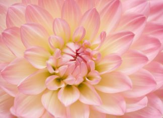 Pratique 46 – Je suis prêt à ce qu’on me montre