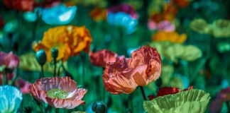 C’est l’heure de se réveiller