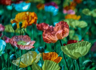 C’est l’heure de se réveiller