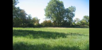 Méditation guidée – Fusionner avec la Conscience Universelle