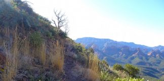 Trouver la clarté dans la confusion