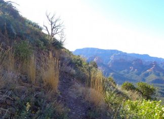 Trouver la clarté dans la confusion