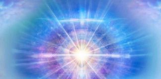 Le Conseil des 12 ~ Comprendre la Passerelle 11/11