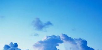 Le Créateur – Pure