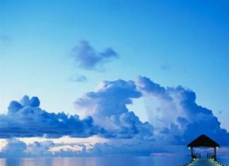 Le Créateur – Pure