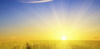 Le temps des Révélations est venu, le temps de la Transparence