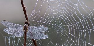 Interagir avec l’Invisible