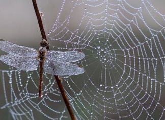 Interagir avec l’Invisible